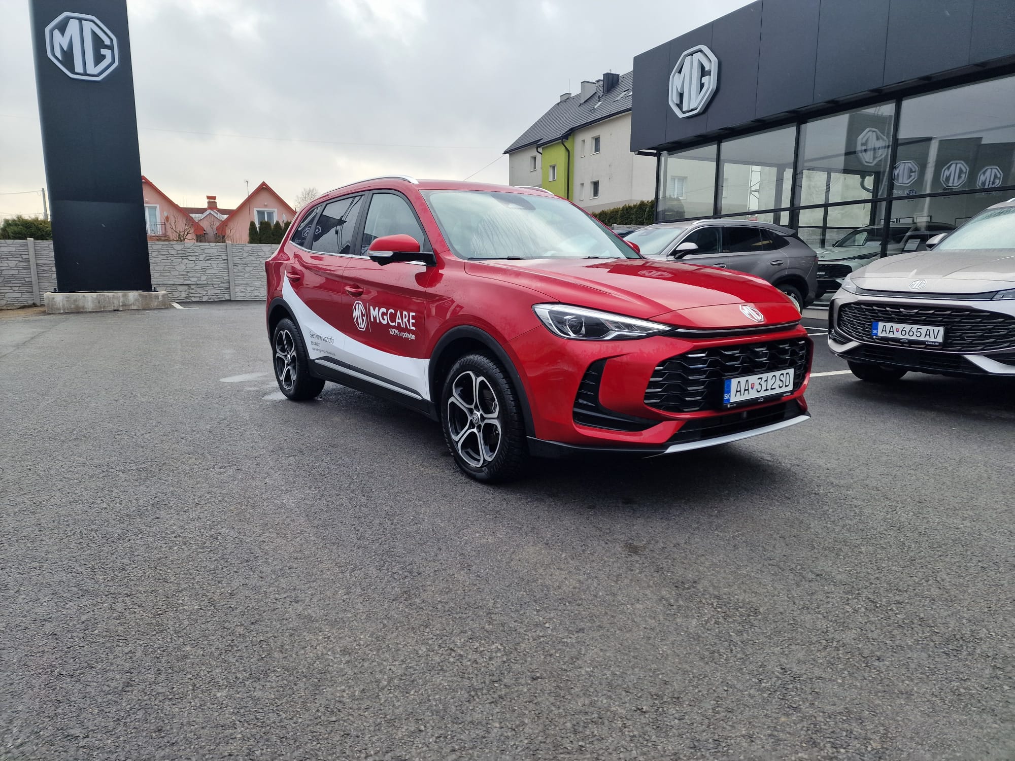 MG ZS ICE Emotion Serv. v. Red Diamond (2)