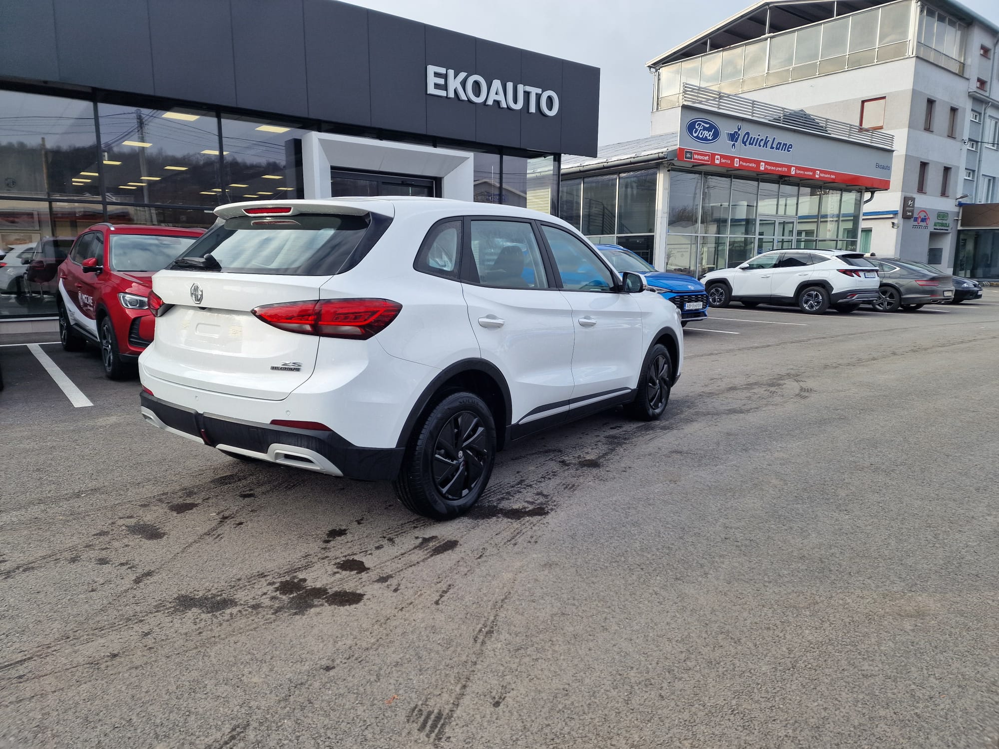 WhatsApp Image 2026-02-17 at 09.01.5