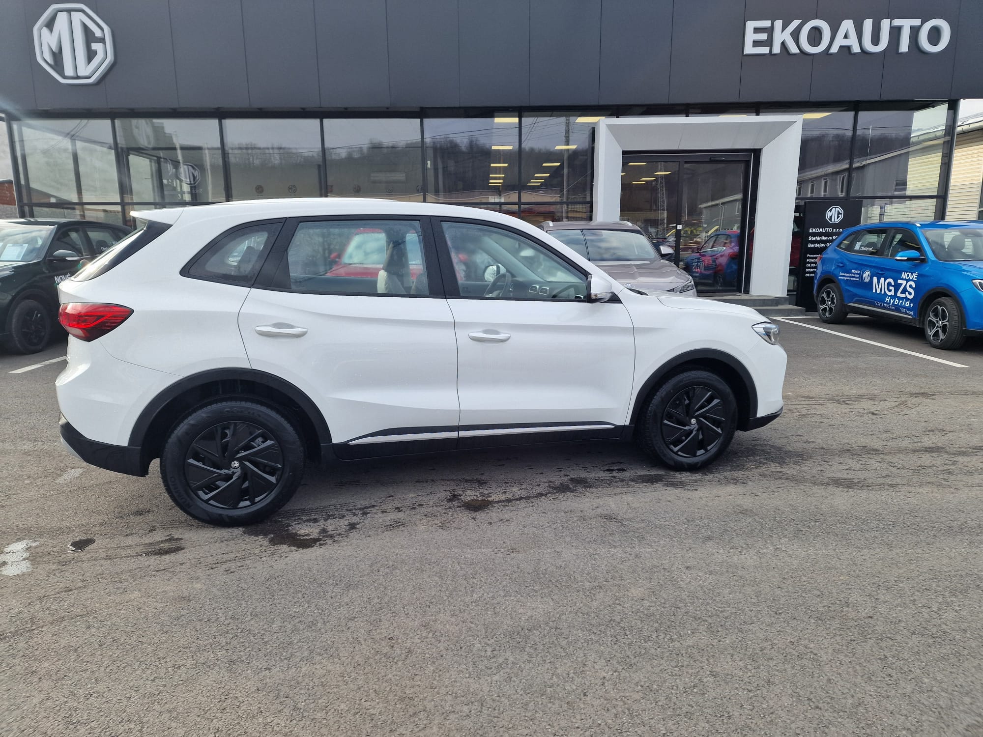 WhatsApp Image 2026-02-17 at 09o