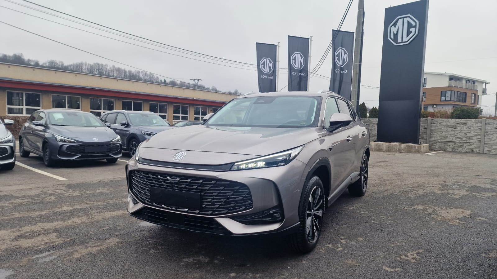 WhatsApp Image 2026-02-11 at 08.42.2