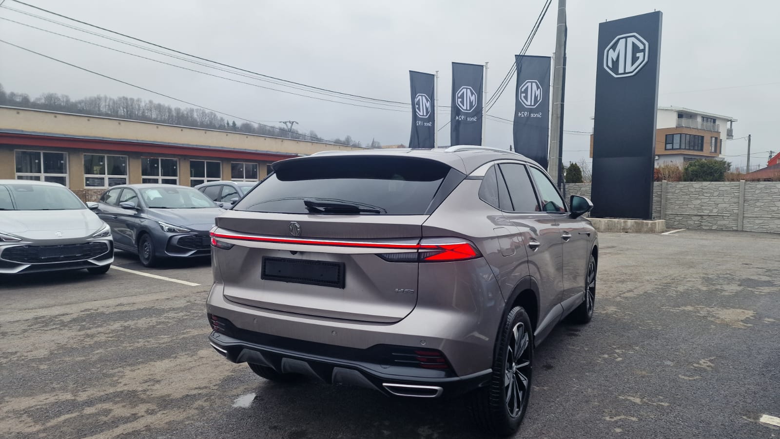 WhatsApp Image 2026-02-11 at 08.42.275