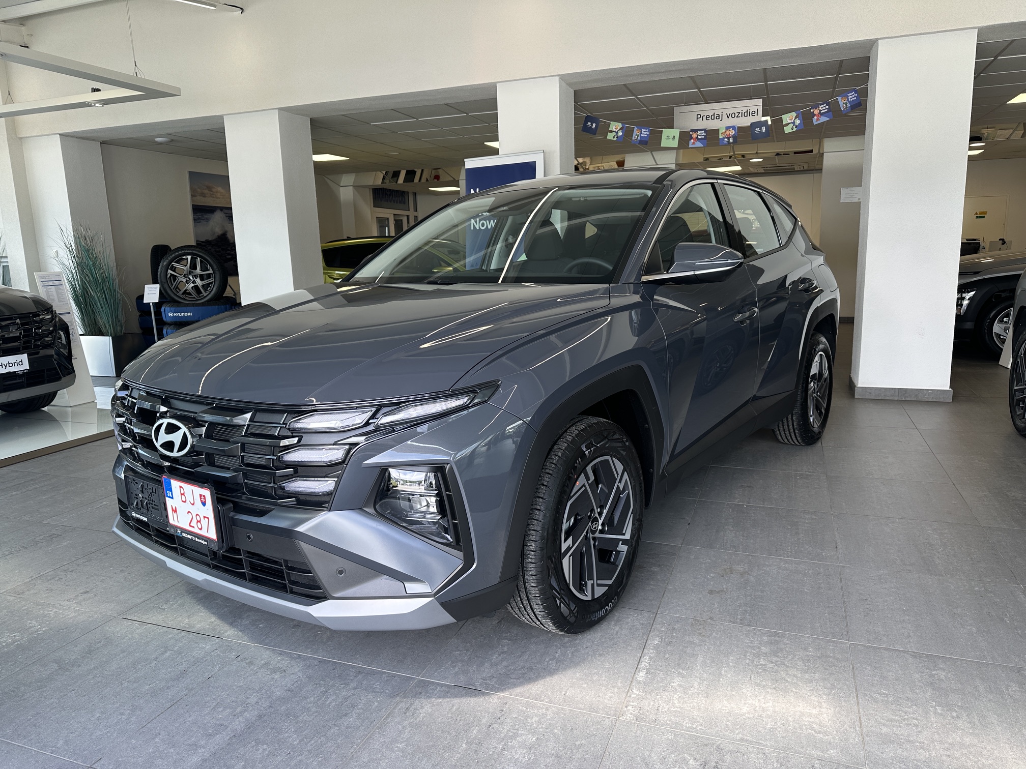 Ecotronic Grey